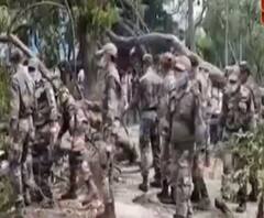 দেখুন, সল্টলেকে গাছ সরানোর কাজে নেমেছে ৫০ জন সেনা 