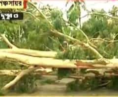 উমপুন: কাটা হয়নি গাছ, অবরুদ্ধ গড়িয়া স্টেশন থেকে ইএমবাইপাস যাওয়ার রাস্তা, পঞ্চসায়র মেন রোড