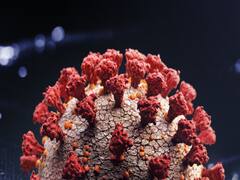 Has Israel found a cure for Coronavirus?