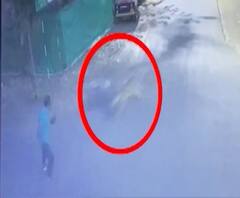 Leopard Attack | नाशिकच्या इंदिरानगरमध्ये बिबट्याचा हल्ला; दोन जण जखमी