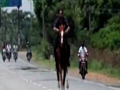 BJP MLA's son rides horse on streets without mask in Karnataka 