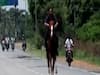 BJP MLA's son rides horse on streets without mask in Karnataka 