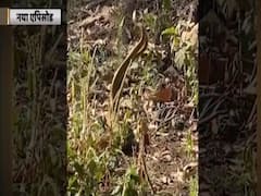 Shakti Mohan teases Mouni Roy with a video