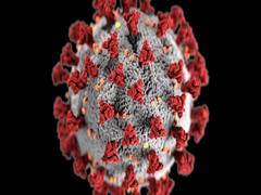 Audio Bulletin: Recovery rate from Coronavirus is 28% currently