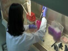 COVID 19 Vaccine: कोरोना की दवा बनाने में कौन आगे? 