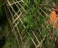 উমপুন: পড়ে আছে ভিজে বই খাতা, ঘরবাড়ি আর নেই, গঙ্গাসাগর জুড়ে শুধুই হাহাকার