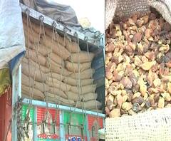 Lockdown 3 | दारुसाठी काहीही! लॉकडाऊनमध्ये मोहफुलांची वाहतूक सुरुच; 3 दिवसांत 3 ट्रक पकडले