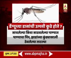 Dengue | मुंबईकरांनो सावधान कोरोना सोबतच डेंग्यू, मलेरियाचंही संकट!