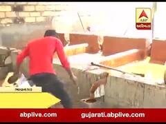  ભાવનગર:તળાજામાં ગોળ બનાવવાના રાબડા શરૂ થતાં શેરડી પકવતા ખેડૂતોને મળી રાહત, જુઓ વીડિયો