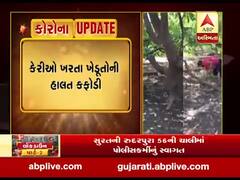 અમરેલી જિલ્લામાં પડેલા કમોસમી વરસાદે ખેડૂતોને કર્યા બરબાદ, જુઓ વીડિયો