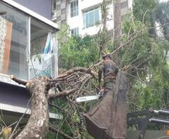 উমপুন: পূর্ণদাস রোডে গাছ সরাতে সক্রিয় সেনা, নেমেছে এনডিআরএফও