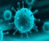 Coronavirus | नागपुरात कोरोनाचे 24 नवे रुग्ण सापडले; एकूण कोरोनाग्रस्तांची संख्या 230वर