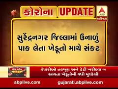 સુરેન્દ્રનગર જિલ્લામાં ઉનાળું પાક લેતા ખેડૂતો માથે સંકટ, જુઓ વીડિયો