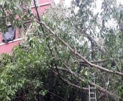 উমপুনে লন্ডভন্ড শহর, কোথাও জমে জল, কোথাও ৫ দিন ধরে নেই বিদ্যুৎ, কবে সব ঠিক হবে, প্রশ্ন অসহায় নগারিকদের