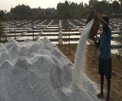Lockdown 3 | कोरोनानंतर मीठ टंचाईची शक्यता, मीठ बनवण्याचं काम दोन महिन्यांपासून ठप्प