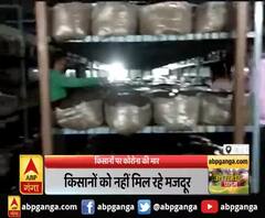 किसानों पर कोरोना की मार,किसानों को नहीं मिल रहे मजदूर