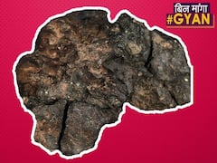 आपको चांद का टुकड़ा चाहिए? धरती पर नीलाम होगा चांद का ये टुकड़ा| Bin Manga Gyan