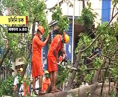 উমপুন: গাছ সরিয়ে রাস্তা খুলতে চাঁদনি চকে সক্রিয় এনডিআরএফ 
