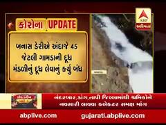 બનાસડેરીએ કોરોનાગ્રસ્ત ગામની ડેરીનું દૂધ સ્વીકારવાનું બંધ કરતા પશુપાલકોની સ્થિતિ કફોડી, જુઓ વીડિયો