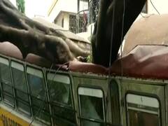 Amphan cyclone: Storm claims 12 lives in WB, 3 in Odisha