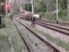 Uttrakhand: Herd of elephants spotted crossing railway tracks 