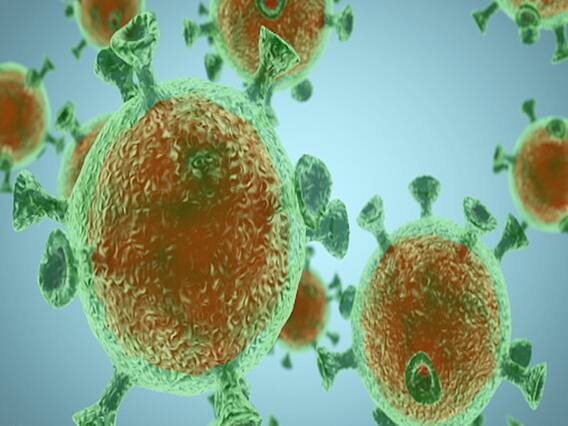 Coronavirus cases in India reach 81,970 | Panchnama Full
