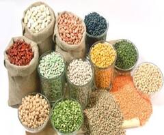 হাবড়ায় গোডাউন থেকে উদ্ধার ১৫০ বস্তা চাল ও আটা 