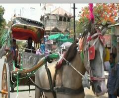 Lockdown Effect | पंढरीतल्या टांगेवाल्यांवर उपासमारीची वेळ, दीड महिन्यापासून टांग्यांना ब्रेक, लॉकडाऊनचा मोठ्या प्रमाणात आर्थिक फटका