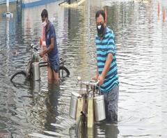ঘূর্ণিঝড় উমপুন: রাস্তায় পড়ে গাছ, ল্যাম্প পোস্ট, এখনও স্বাভাবিক হয়নি কসবা, ঢাকুরিয়া