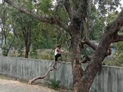 Know why are people jumping off the walls of Gaya quarantine centre