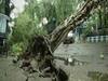 Cyclone Amphan: Disturbing visuals of destruction caused in WB | Master Stroke Full
