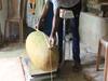 Kerala man grows heaviest jackfruit weighing 51.4 kg