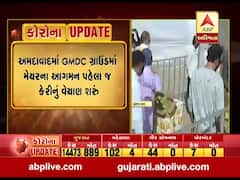 અમદાવાદ: GMDC ગ્રાઉન્ડમાં મેયર કેરીના વેચાણ કેન્દ્રને ખુલ્લુ મુકે તે પહેલા જ વેચાણ શરુ થઈ ગયું, જુઓ વીડિયો