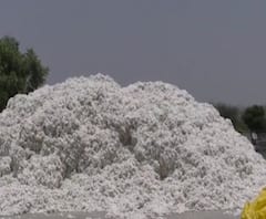 Rural News | माझं गाव माझा जिल्हा | राज्याच्या कानाकोपऱ्यातील बातम्यांचा आढावा 