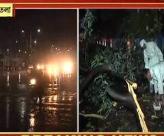 ৭ টায় বাংলা : লাউদোহায় বাজ পড়ে একজনের মৃত্যু, শ্যামবাজার, যাদবপুরে ফের গাছ পড়ে বিপত্তি