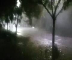 Unseasonal Rain | नाशिक,बारामती,धुळे वाशिममध्ये अवकाळी पाऊस,गारपीट,वादळी वाऱ्यांमुळे पिकांचं नुकसान