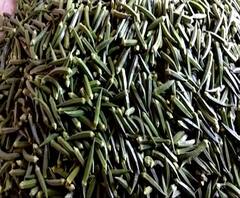 Rural News | कोरोनाच्या संकटातही युरोपात भेंडीची यशस्वी निर्यात | माझं गाव माझा जिल्हा