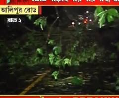 ঘূর্ণিঝড় উমপুন : আলিপুর রোডে গাছ উপড়ে বন্ধ রাস্তা