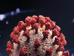 National Games 2020 postponed due to Covid-19