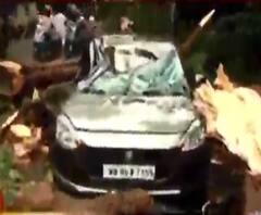 উমপুন: হাজরা মোড়ে গাড়ির ওপর গাছ, বিপর্যস্ত যান চলাচল