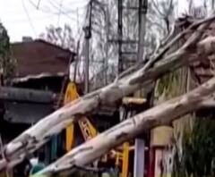 উপড়ে পড়ে রয়েছে গাছ, বিদ্যুতের খুঁটি, বিধ্বস্ত গড়চুমুক ও গাদিয়াড়া পর্যটনকেন্দ্র