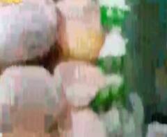 এক ঝলকে : চন্দননগরে বাজেয়াপ্ত গম, সাংসদের সন্তানের 'করোনা' নামকরণ সহ অন্যান্য খবর 