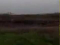 ભાવનગર જિલ્લા સુધી પહોંચ્યા તીડના ટોળા, ખેડૂતોમાં ચિંતા