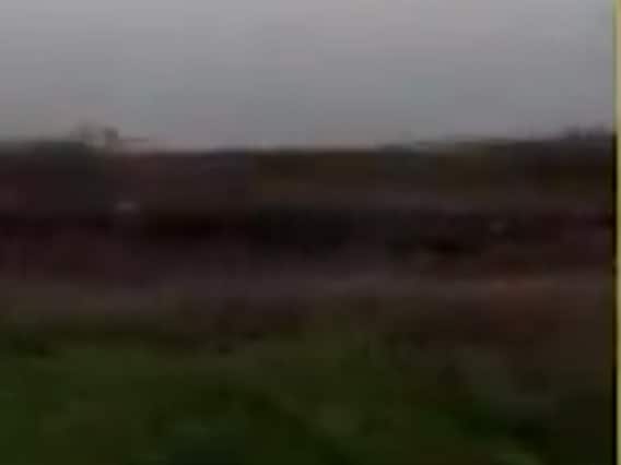 ભાવનગર જિલ્લા સુધી પહોંચ્યા તીડના ટોળા, ખેડૂતોમાં ચિંતા