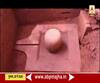 Shiva Ling in Vietnam | व्हिएतनाममध्ये उत्खननादरम्यान शिवलिंग सापडलं, परराष्ट्र मंत्र्यांची माहिती