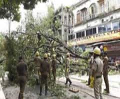 সাদার্ন অ্যাভিনিউয়ে সেনাবাহিনীর সহায়তায় গাছ কাটলেন জাতীয় বিপর্যয় মোকাবিলা বাহিনীর কর্মীরা
