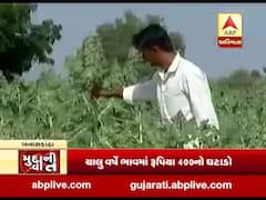 બનાસકાંઠા: એરંડાના ભાવમાં મંદીનો માહોલ, ઉત્પાદન વધવા છતાં ખેડૂતો આફતમાં, જુઓ વીડિયો