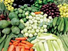 રાજ્યની આ નગરપાલિકામાં શાકભાજી અને ફળોના વેચાણ પર પ્રતિબંધ, જુઓ વીડિયો 