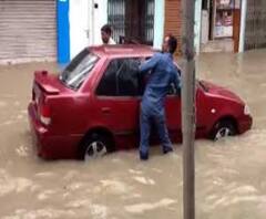 ঘূর্ণিঝড় উমপুন: জলমগ্ন দেশপ্রিয় পার্ক, গাছ পড়ে আটকে গেল পেট্রোল সরবরাহের গাড়ি 