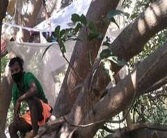 পুরুলিয়ায় ফের গাছের উপর কোয়ারেন্টিনে পরিযায়ী শ্রমিকরা